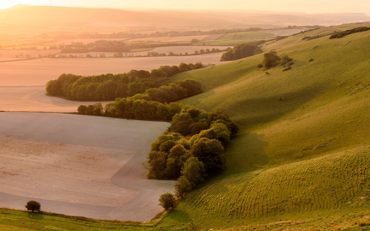 Swanborough Hill, The South Downs National Park at Sunrise